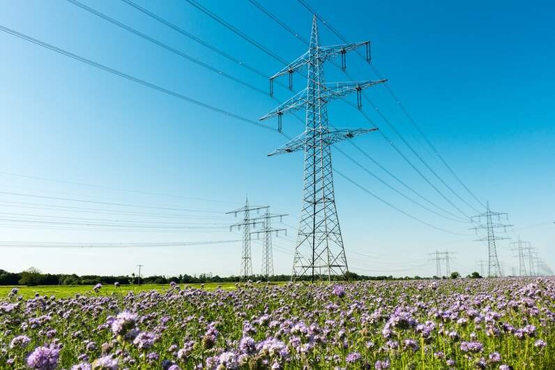 Die Suche nach dem günstigen Strom