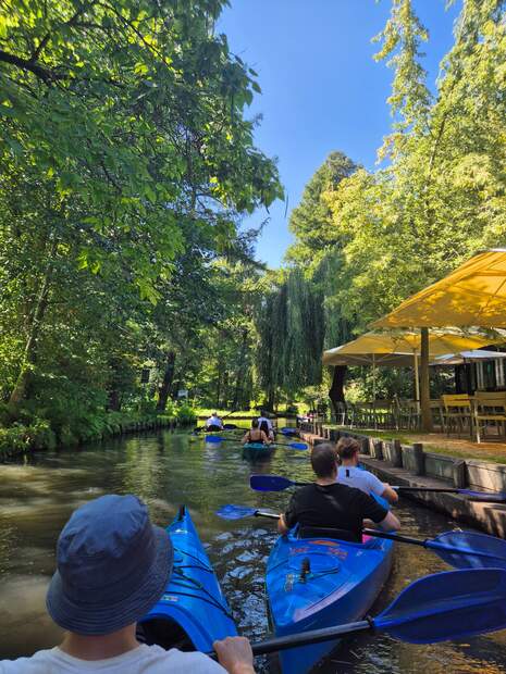 Vom Büro aufs Boot - unser Teamausflug 2025 im Spreewald