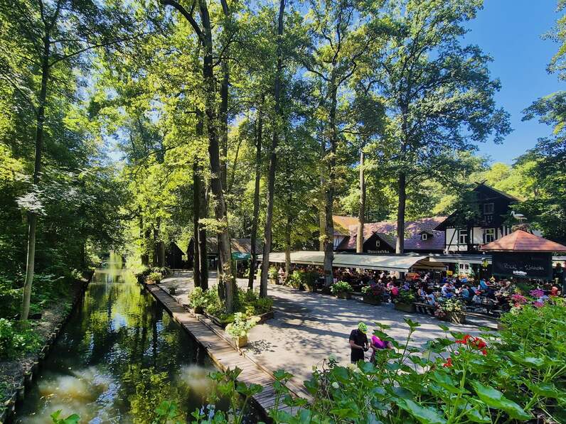 Vom Büro aufs Boot - unser Teamausflug 2025 im Spreewald