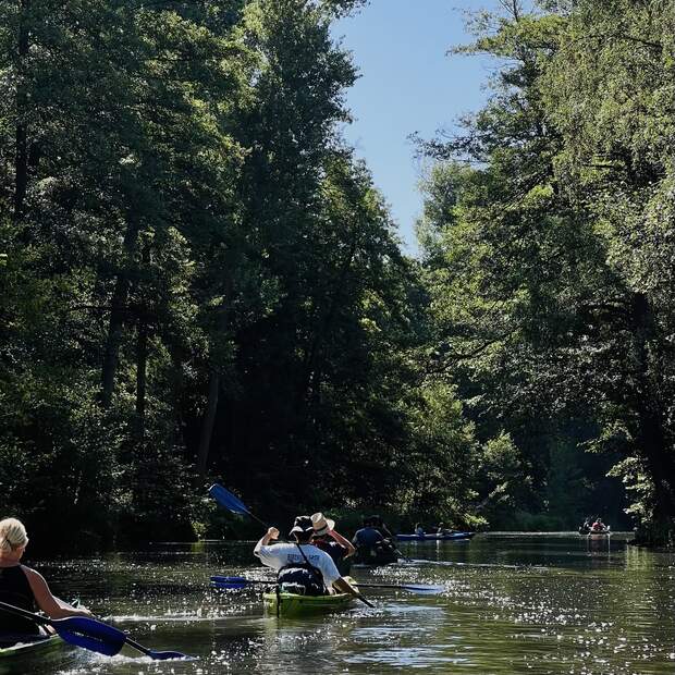 Vom Büro aufs Boot - unser Teamausflug 2025 im Spreewald