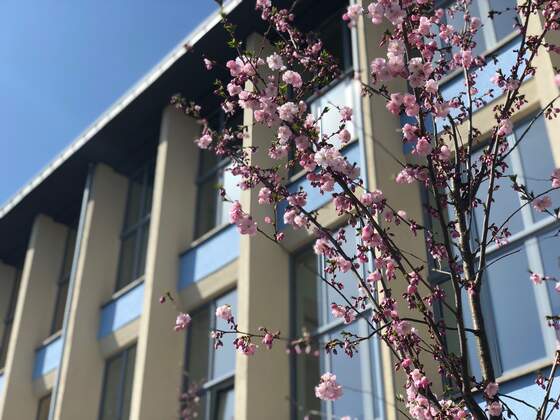 Pirna ++ 3 bis 4 Raumwohnung in saniertem Industriedenkmal