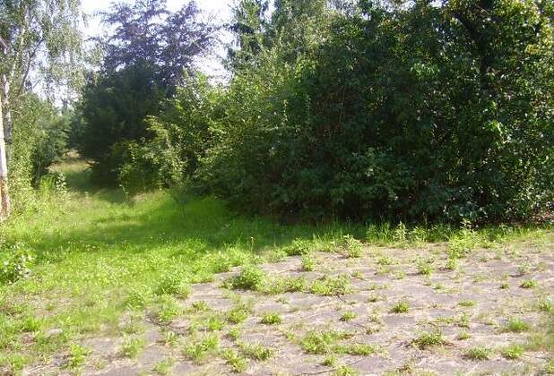 Baugrundstück in Weinböhla erfolgreich verkauft