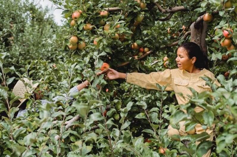 Nachhaltige Außenanlagen: Wertsteigerung für Immobilien durch ökologische Gartengestaltung