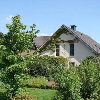 01.04.2023 - DER IMMO TIP verkauft weiteres Einfamilienhaus!