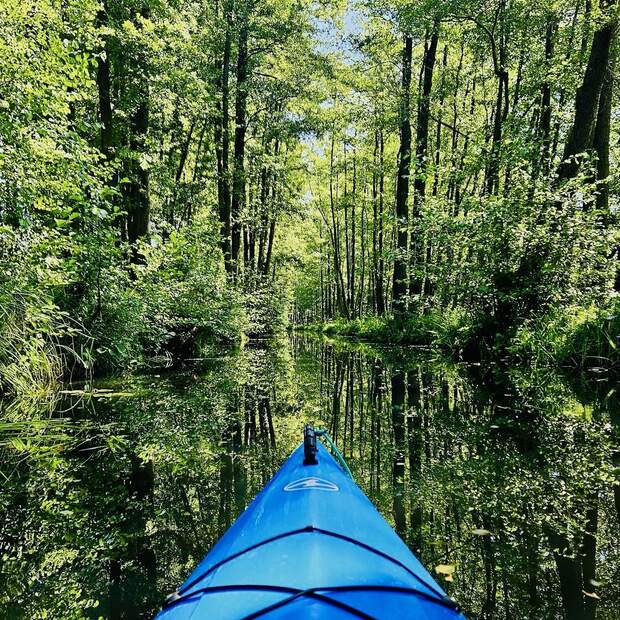Vom Büro aufs Boot - unser Teamausflug 2025 im Spreewald