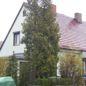 15.11.2012 - Kleine Doppelhaushälfte in Freital erfolgreich vermittelt!