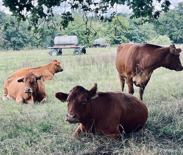 Oh wie schön ist es hier! - Wandertag