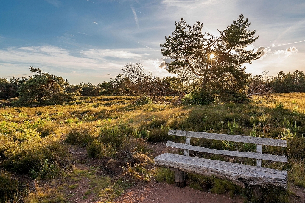 Provisionsfreie 4-Zimmer Wohnung mit 2 Balkonen & eigenem Garten!