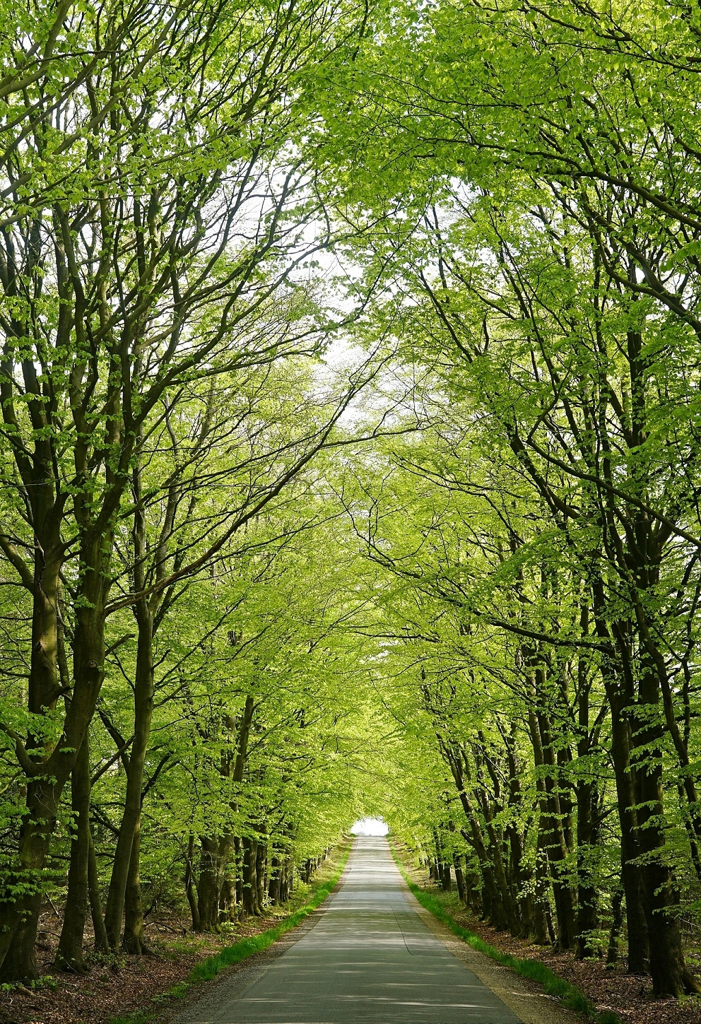 Provisionsfrei - Großzügig Wohnen auf ca. 118 m² mit Balkon, Terrasse & Garten!