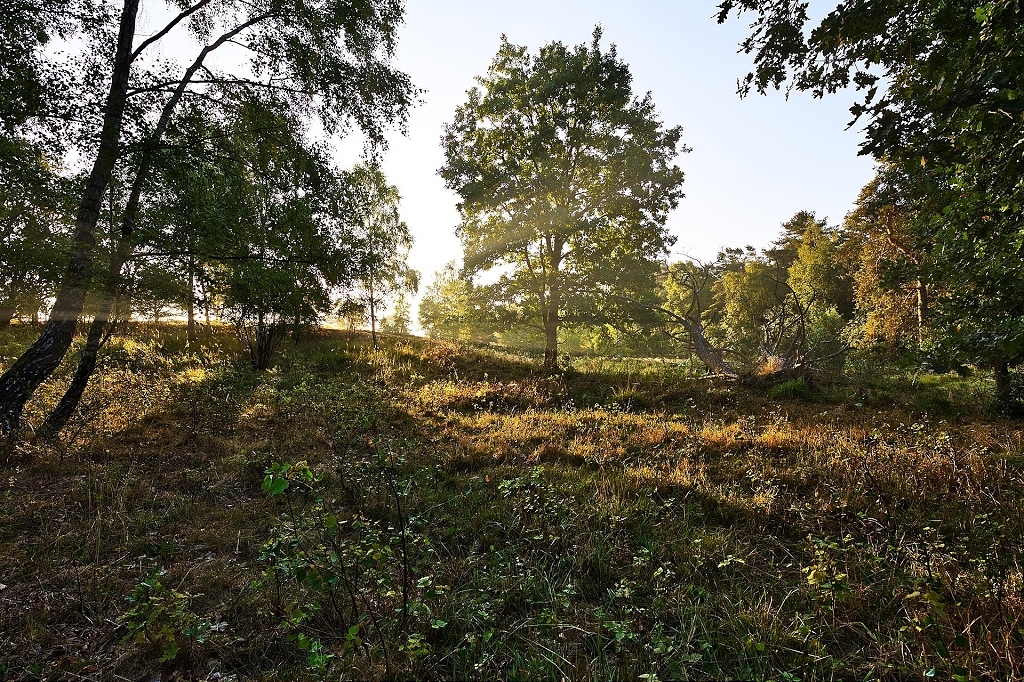 Wohnen auf der gesamten Etage - Balkon, Terrasse, Garten alles dabei + provisionsfrei!