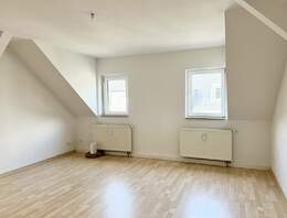 Helle 1 Raumwohnung mit EBK auf dem Sonnenberg Chemnitz zu mieten!