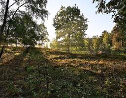 Naturnah an der Dresdner Heide leben mit Balkon & Tageslichtbad!