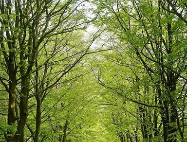 Wohnen an der Dresdner Heide mit Balkon, Terrasse & eigenem Garten!