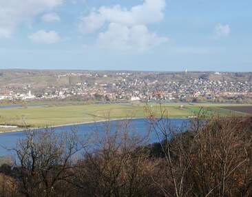 Ausblick auf die Weinberge, die Elbe & den Stausee - einmaliges Traumangebot!