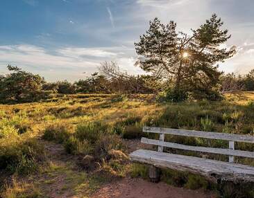 2 Balkone, 1 Terrasse & eigener Garten - Highlightwohnung an der Heide!