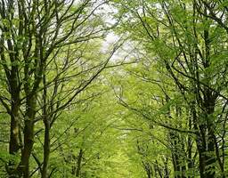 Sanierte Terrassenwohnung mit eigenem Garten an der Dresdner Heide!