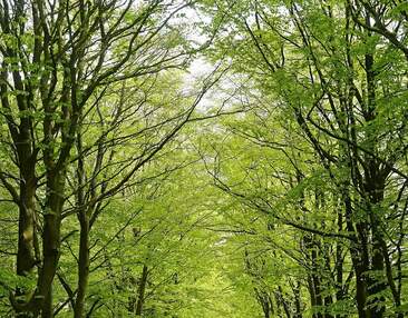 Sanierte Terrassenwohnung mit eigenem Garten an der Dresdner Heide!