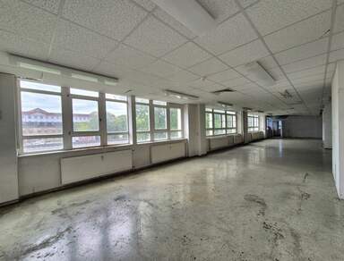 Individuell nutzbare Gewerbefläche | 640 m² in Dresden Niedersedlitz zur Miete