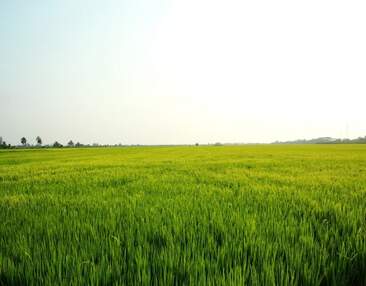 Entwicklungsgrundstück im Dresdner Osten zum Kauf