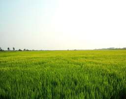 Entwicklungsgrundstück im Dresdner Osten zum Kauf