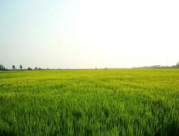 Entwicklungsgrundstück im Dresdner Osten zum Kauf