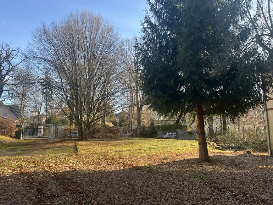 Blick in Richtung Straße