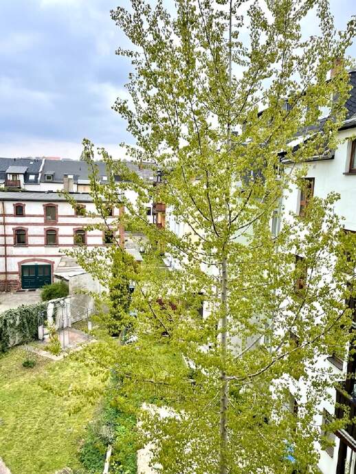Ausblick in den Hof