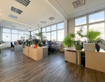 Neuer Mieter für 199 m² Bürofläche in Dresden-Striesen gesucht!