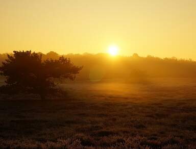 Kernsaniertes Einfamilienhaus mit grünem Grundstück an der DD-Heide!
