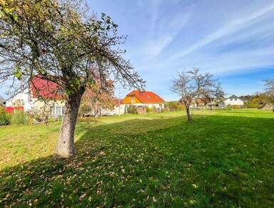 Nahe Dresdner Heide | Bauträgerfreies Baugrundstück zur Errichtung eines Einfamilienhauses zum Kauf