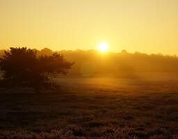 Dachgeschosswohnung mit Terrasse im eigenen Garten | Grüne Umgebung