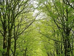 Wohnen an der Dresdner Heide mit Balkon, Terrasse & eigenem Garten!