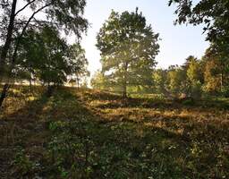 Naturnah an der Dresdner Heide leben mit Balkon & Tageslichtbad!