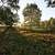Dresden Heide - Immobilienmakler Dresden, Chemnitz, Leipzig