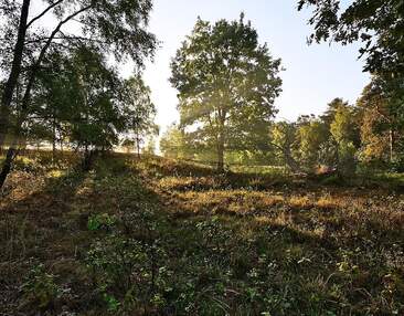 6 Zimmer-Etagenwohnung mit Balkon, Terrasse, Garten, 2 Bädern u.v.m.!! Nahe Dresdner Heide