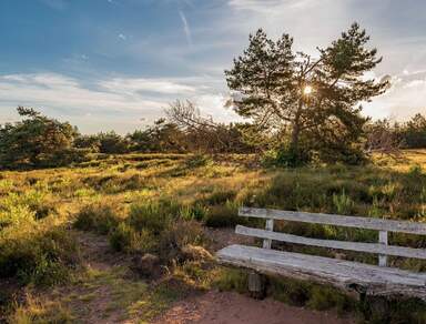 2 Balkone, 1 Terrasse & eigener Garten - Highlightwohnung an der Heide!