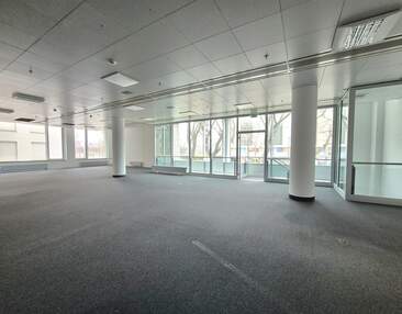 TOP Innenstadtlage | 320 m² vielseitige Gewerbefläche in Dresden zur Miete!