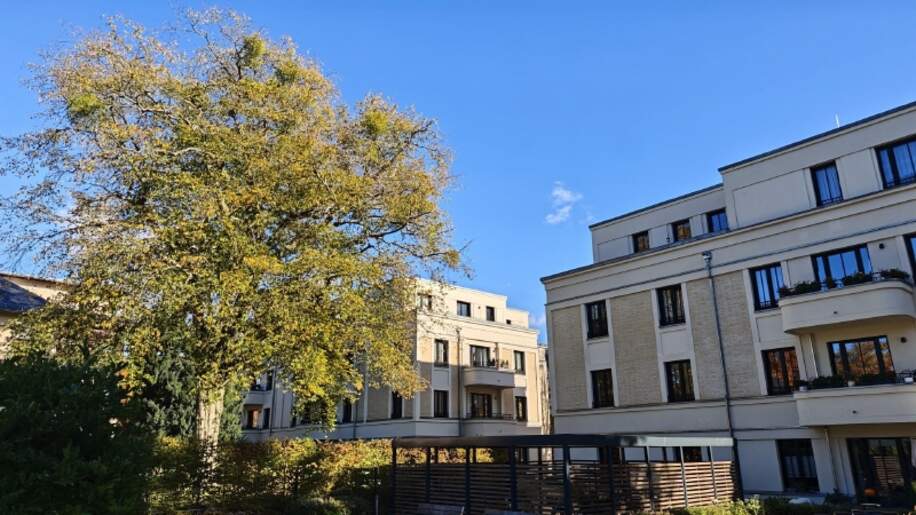 Hausansicht