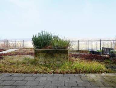 Vakantes Investment in Schlossvilla mit Blick auf die Weinberge von Radebeul!